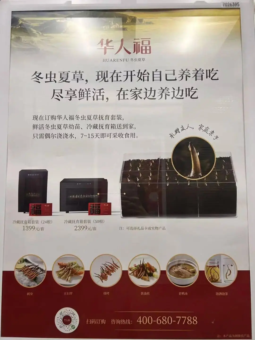 在電梯里看見冬蟲夏草養(yǎng)殖箱廣告，這玩意也能家里養(yǎng)了？